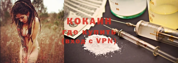 прущие грибы Бронницы