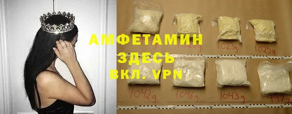 прущие грибы Бронницы