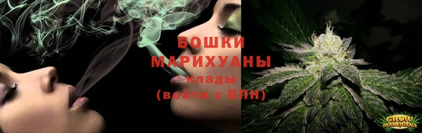 прущие грибы Бронницы