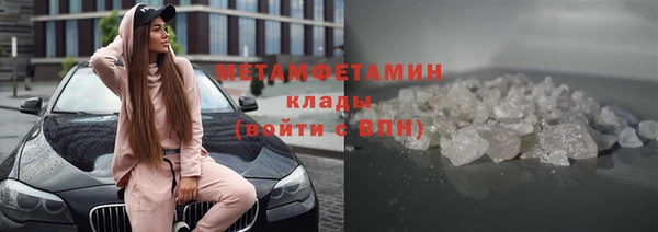 прущие грибы Бронницы