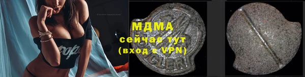 прущие грибы Бронницы
