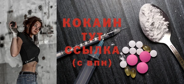 прущие грибы Бронницы