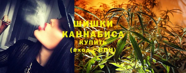 амф Бородино