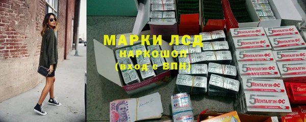 прущие грибы Бронницы