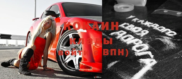 амф Бородино