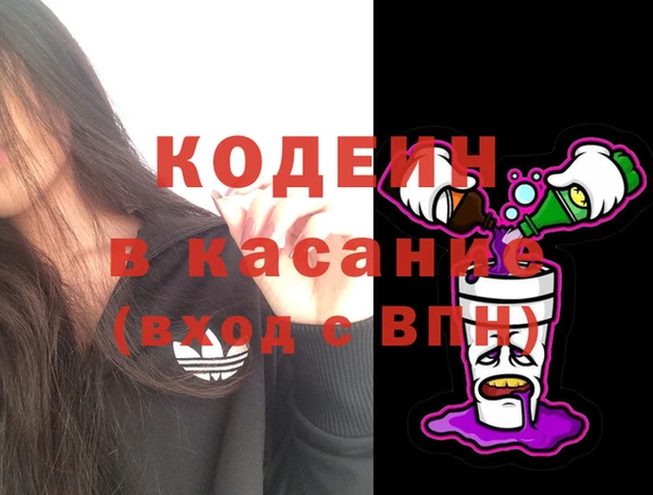 прущие грибы Бронницы