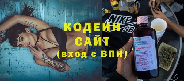 прущие грибы Бронницы