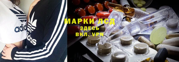 амф Бородино