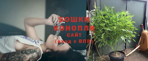 прущие грибы Бронницы