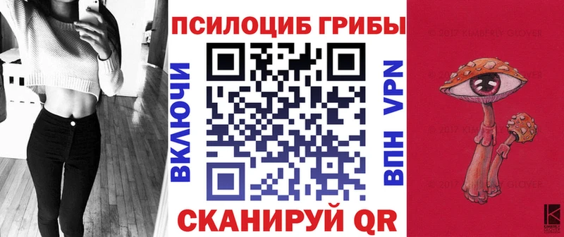 наркота  Майкоп  Псилоцибиновые грибы Magic Shrooms 