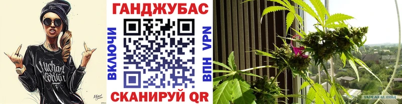 Шишки марихуана MAZAR  закладки  Майкоп 